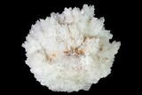 Sparkling Cave Calcite (Aragonite) Formation - Potosi Mine, Mexico #155140-2